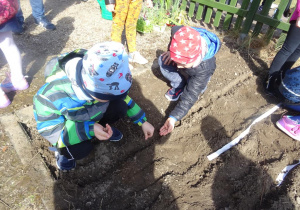 Dzieci sieją nasiona na grządkach.